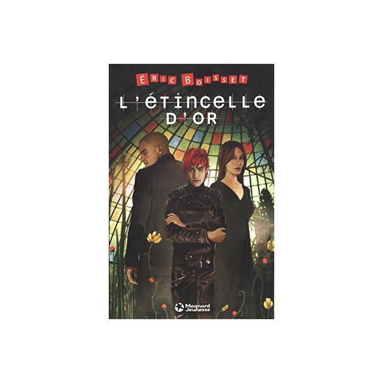 LIVRE L ETINCELLE D OR