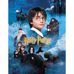 DVD HARRY POTTER A L ECOLE DES SORCIERS