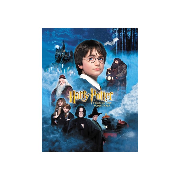 DVD HARRY POTTER A L ECOLE DES SORCIERS