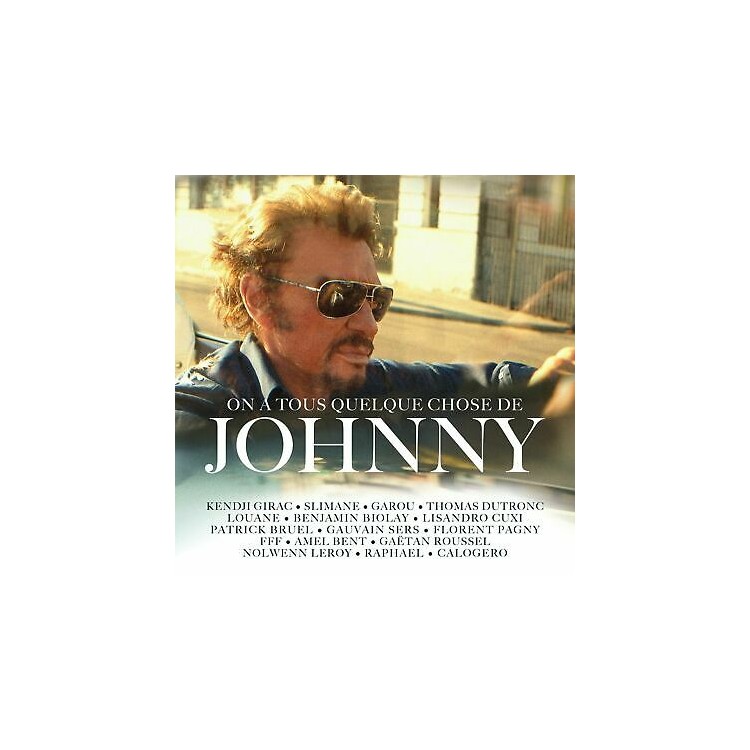 CD JOHNNY HALLYDAY ON A TOUS QUELQUE CHOSE DE JOHNNY