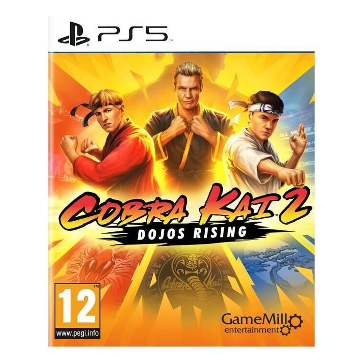 JEU PS5 COBRA KAI 2