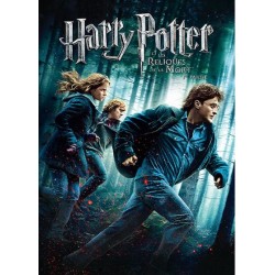 DVD HARRY POTTER ET LES RELIQUES DE LA MORT PARTIE 1